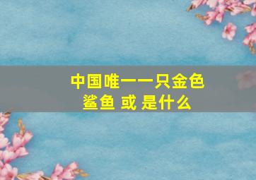 中国唯一一只金色鲨鱼 或 是什么